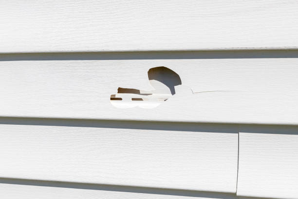 Best Fascia and Soffit Installation  in Port Hadlock Irondale, WA